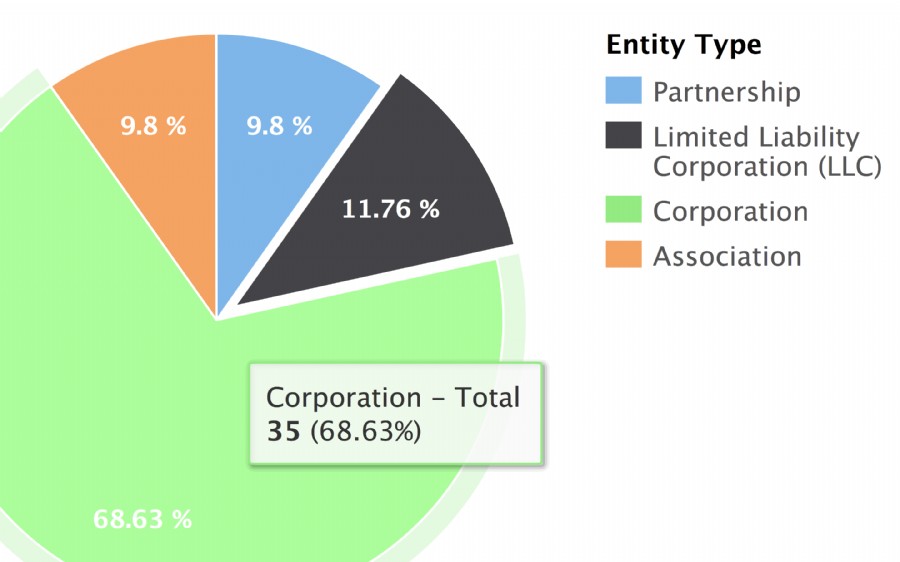 Most common types of entities in the United States